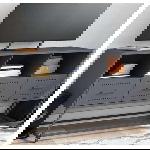 VidaXL TV ormarić antracit 100,5x39x60,5 cm čelični Slike