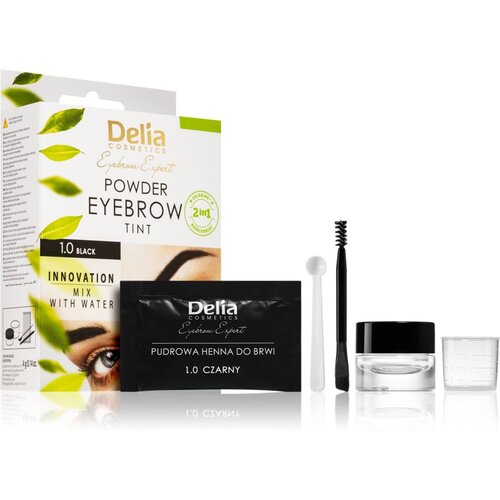 Delia Cosmetics Eyebrow Expert tonirana barva za obrvi odtenek 1.0 Black 4 g Cene