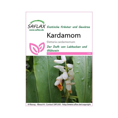 Saflax Kardamom Cene