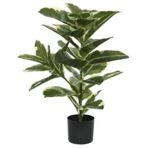 Ambia Home UMETNA RASTLINA 61/76 cm Slike