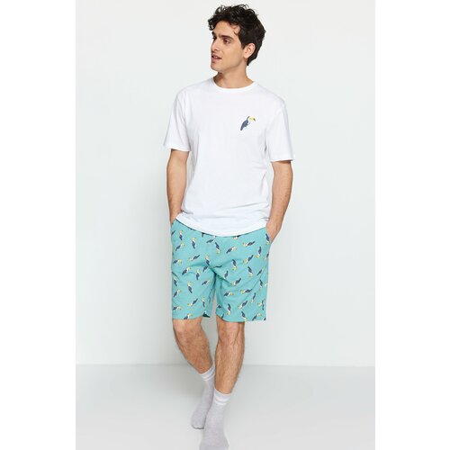 Trendyol Green Men's Regular Fit Knitted Pajamas Set Cene