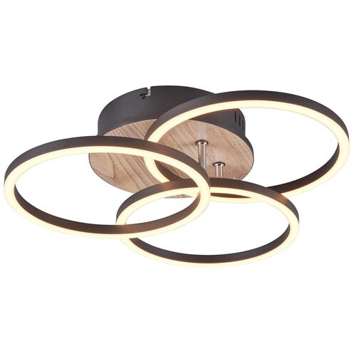 Tri O črna/rjava led stropna svetilka 43x43 cm circle – Cene