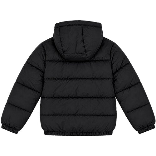 Guess Puhovke HOODED LS PADDED JACKET W/ZIP Črna Slike