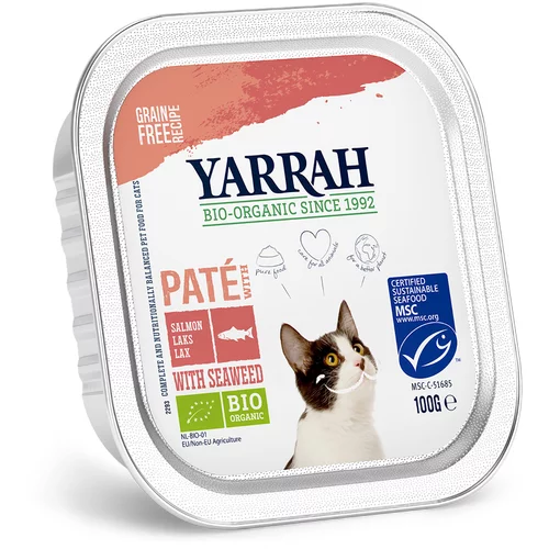 Yarrah Ekonomično pakiranje: zdjelice 12 x 100 g - Losos s bio morskim algama - Wellness Pâté