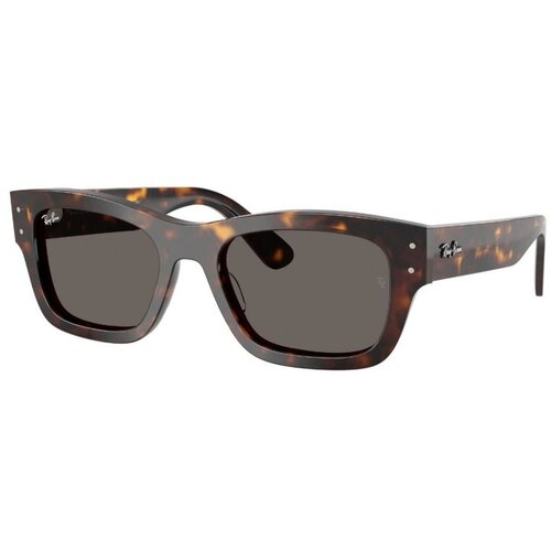 Ray-ban naočale Ray Ban Ray Ban RB7683S Tortoise Slike