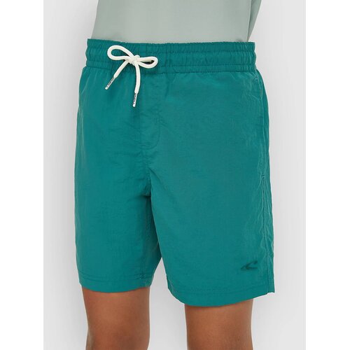 O'neill Vert Kids Boardshorts botanical heat Cene