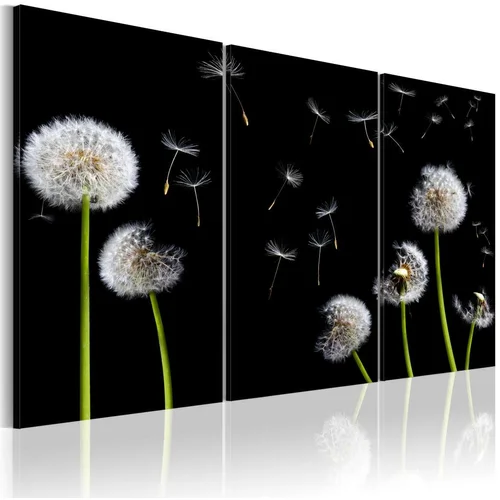  Slika - Dandelions family 60x40