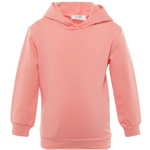 Trendyol Pink Hoodie Girls' Fleece Knitted Sweatshirt
