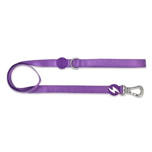 Dashi Solid Purple S Cene