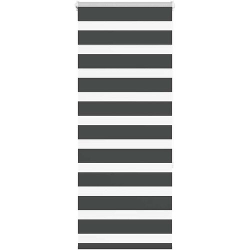 vidaXL idaXL Zebra senčilo črna 55x150 cm tkanina širina 50,9 cm poliester Cene