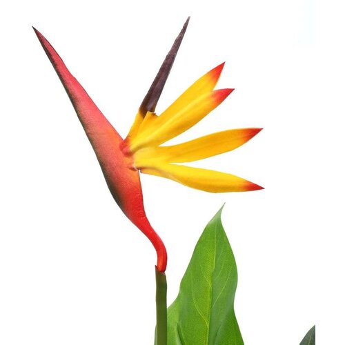 vidaXL Umjetna biljka rajska ptica Strelitzia reginae 66 cm Cijene