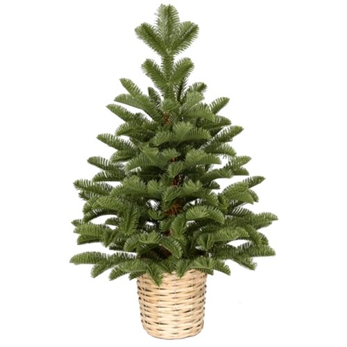  Jelka u saksijizelena 90cm Cene