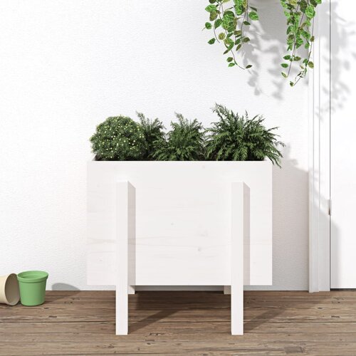 vidaXL Vrtna visoka greda bela 62x50x57 cm trdna borovina Cene