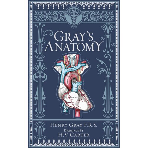 Orca Book Services Henry Gray - Gray&amp;#039;s Anatomy Slike