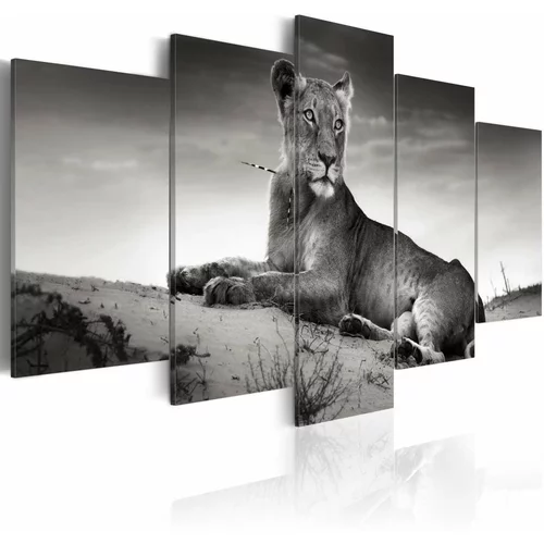  Slika - Lioness in a desert 200x100