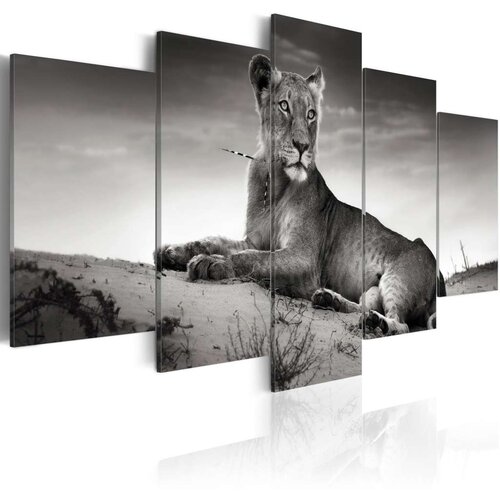  Slika - Lioness in a desert 200x100 Slike