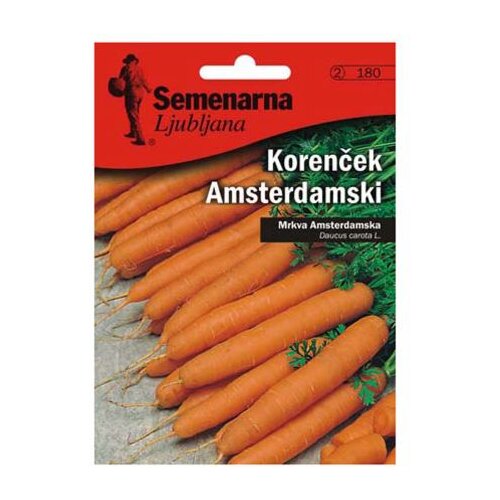Semenarna KORENOVKA KORENČEK AMSTERDAMSKI V MALI VREČICI 180 Slike