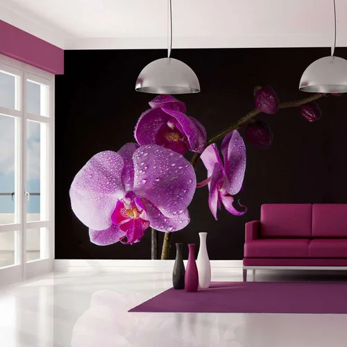  tapeta - stylish orchis 350x270