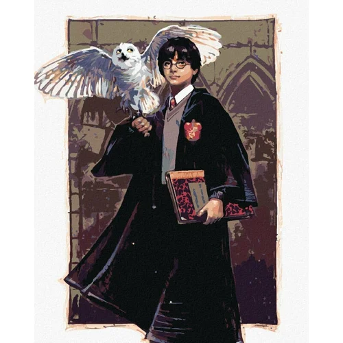 Zuty Slikanje po številkah Harry Potter in Hedwig v Bradavičarka