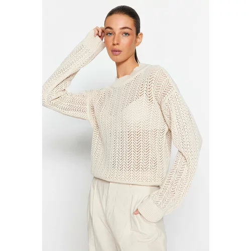 Trendyol Stone Wide fit Openwork/Perforated Knitwear Sweater
