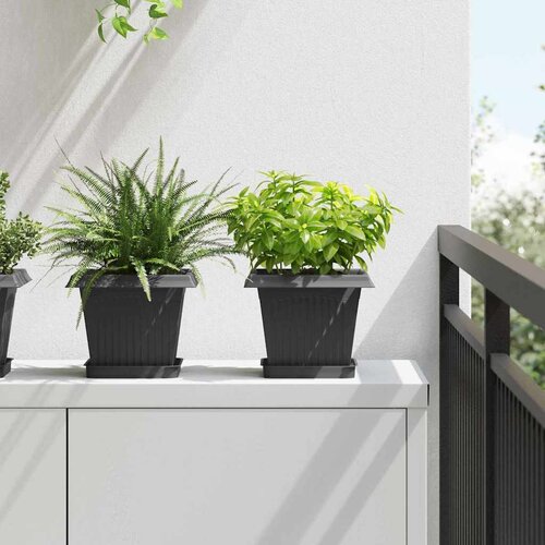  Kvadratna posuda za cvijeće 24 pcs Crna 15 x 15 x 2 cm Plastika Cijene