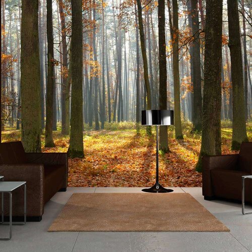  Tapeta - Autumn trees 250x193 Slike