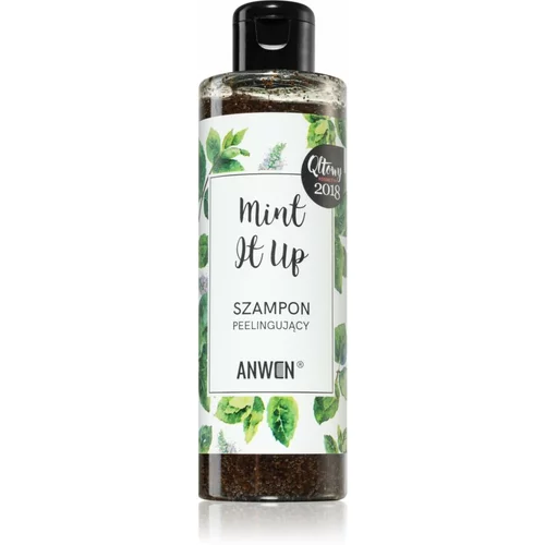 Anwen Mint It Up eksfoliacijski šampon 200 ml