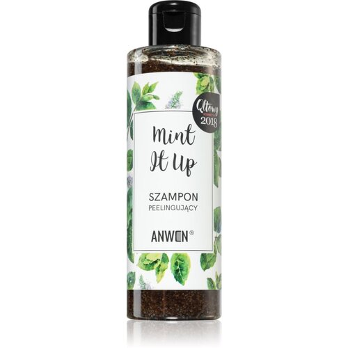 Anwen Mint It Up eksfolijacijski šampon 200 ml Cijene