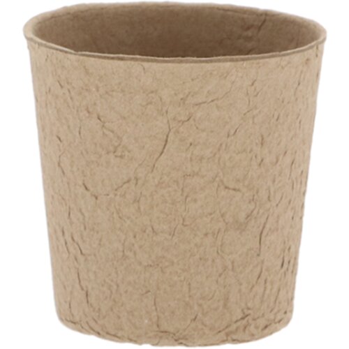  Lonček za gojenje L - 12 k. Cene