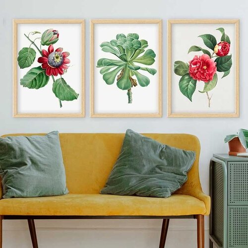 Wallity Set uramljenih slika 3NTC_52096228, 3 Dela Cene