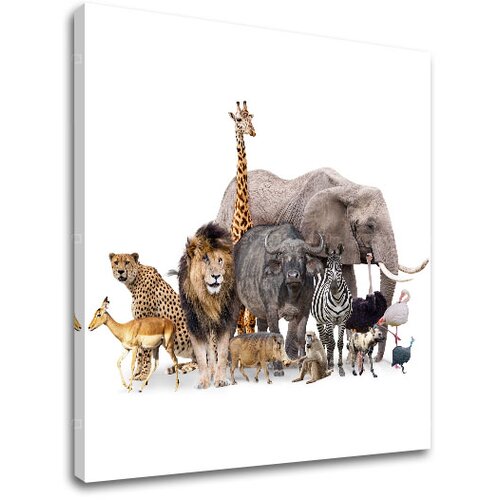  Slike na platnu ŽIVOTINJE_051-12 (moderne slike na platnu) Cene