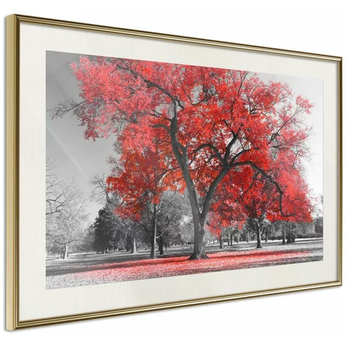  Poster - Red Tree 90x60