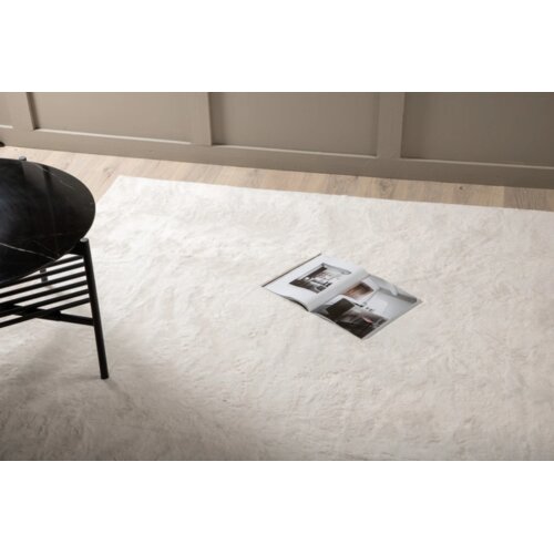 Venture Home tepih Nina 230 &times; 160 cm, bijeli Cijene