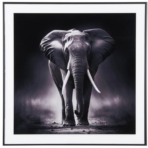PT LIVING Slika 50x50 cm Elephant – Cene