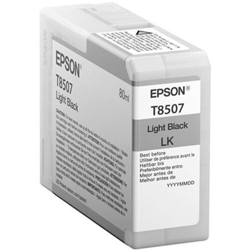 Epson Singlepack Light Black T850700 C13T850700 Slike