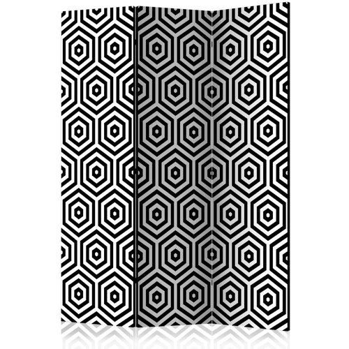  Paravan u 3 dijela - Black and White Hypnosis [Room Dividers] 135x172 Slike