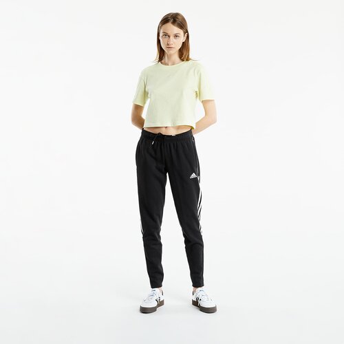 Adidas Tiro 21 Sweat Pants Slike