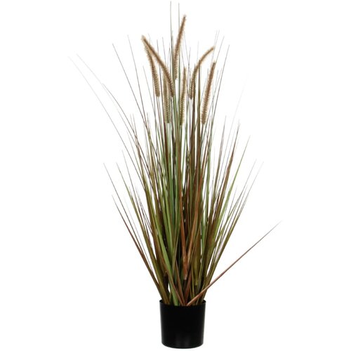  Umjetna biljka Cynosurus cristatus (Visina: 150 cm, Plastika) Cijene