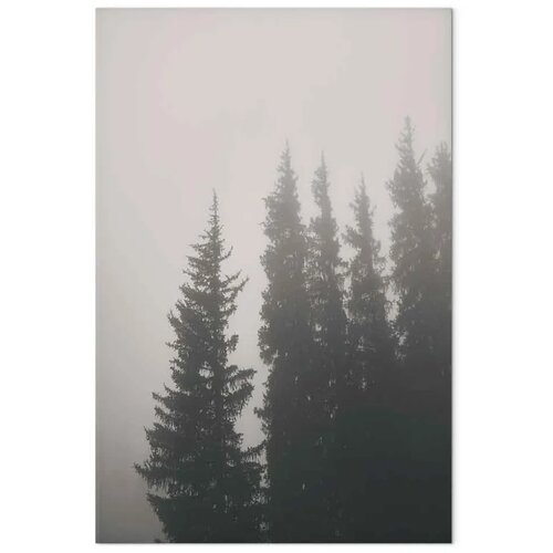  Slika - Smell of Forest Fog (1 Part) Vertical 60x90 Akustična Slike