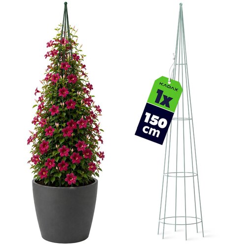 KADAX Podpora za vrtnice, kovinska objemka za rože, 150 cm, (5000360406) Slike