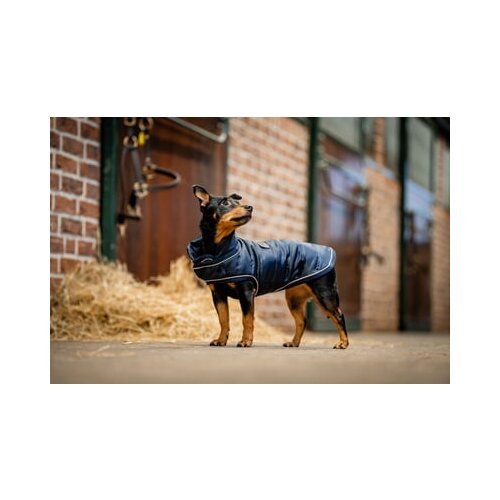 Horseware Ireland Pasji plašč Signature, Navy - L Cene