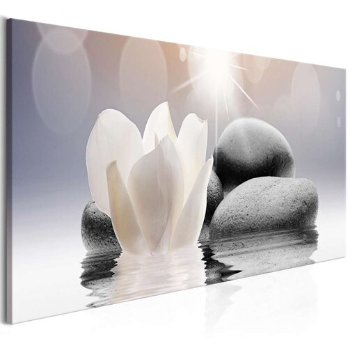  Slika - Pebbles in Water (1 Part) Narrow 120x40 Slike