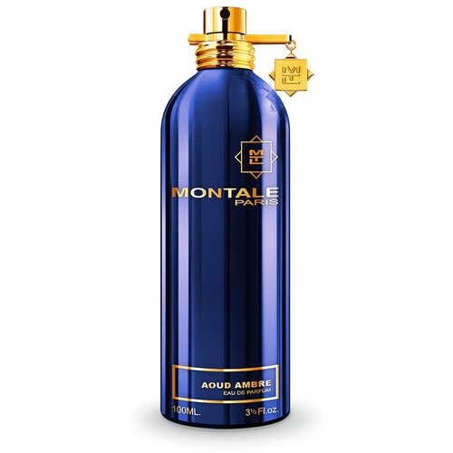 Montale Paris Aoud Ambre parfumirana voda unisex 100 ml Cene