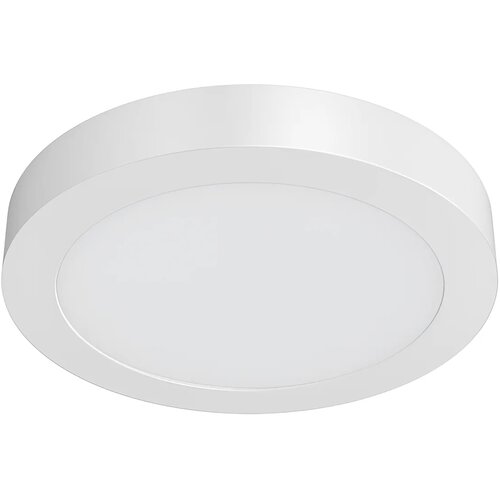 Braytron LED Panel Nadgradni Okrugli 6W Beli 4000K BP03-40610 Cene