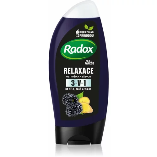 RADOX Men Feel Wild gel za tuširanje za lice, tijelo i kosu za muškarce Blackberry & Ginger 250 ml