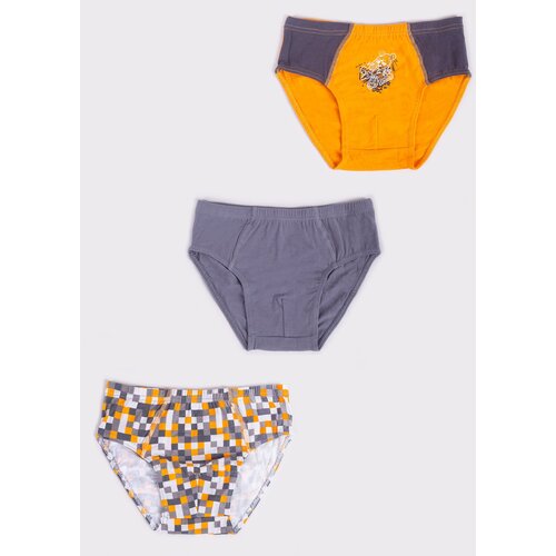 Yoclub Kids&amp;#039;s 3Pack Boys&amp;#039; Briefs BMC-0033C-AA30-002 Slike