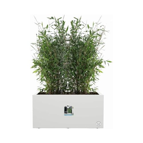ELHO Korito za rastline vivo next lang - 80 cm Cene