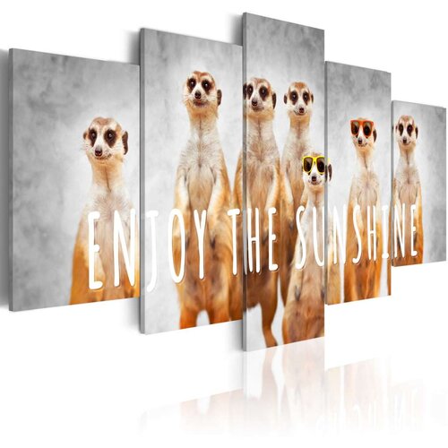  Slika - Enjoy the sunshine 100x50 Slike
