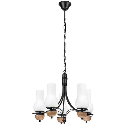  Brilagi - LED luster na lancu COTTAGE 5xE14/40W/230V buk/bela Cene