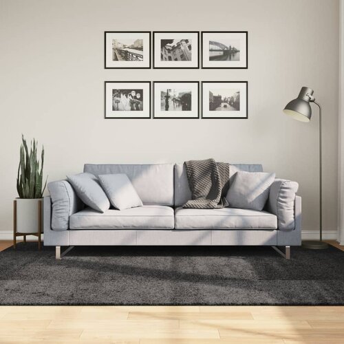 VidaXL Ko&amp;scaron;ata preproga moderna antracit 160x230 cm Slike